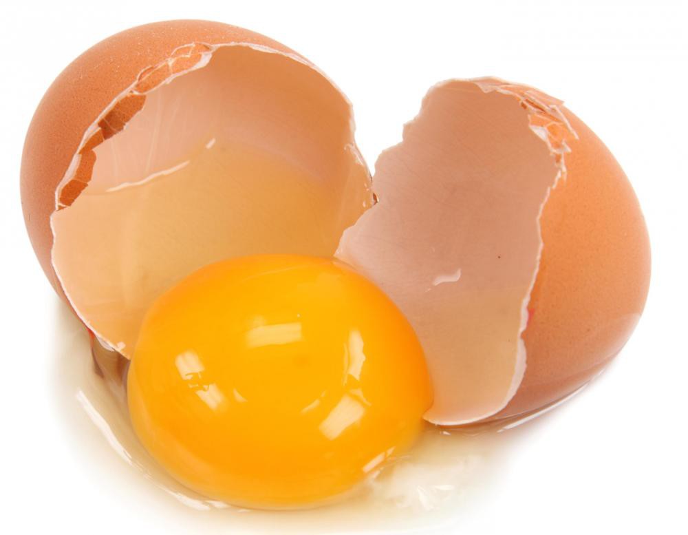 Proteine uovo