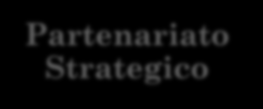 KA2: PARTENARIATI STRATEGICI NEL SETTORE DELL'ISTRUZIONE,DELLA FORMAZIONE E DELLA GIOVENTÙ (1) garantire innovazione nella formazione, modernizzazione ed inclusione sociale affrontano gli obiettivi