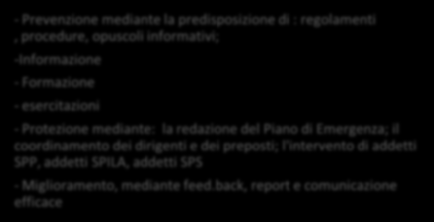 B 7.3 ITER SICUREZZA FASI PROCEDURALI FASE CONSULTIVA - Il D.S. chiede alla R.S.U. di individuare il R.L.S - Forma il R.L.S - Nomina il R.S.P.P. - effettua una prima individuazione e valutazione ricognitiva dei rischi con la collaborazione del R.