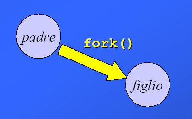 Gestione dei processi - Ogni chiamata a fork (vfork) ha due ritorni: Al genitore viene