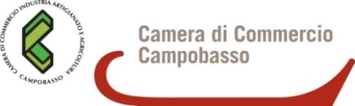 La Struttura organizzativa La Camera di Commercio di Campobasso fino al 2005 Le funzioni istituzionali sono distribuite su 3 Aree