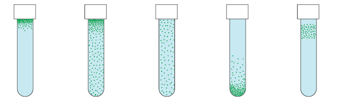 aerobi obbligati. Met. en. respirazione aerobica (Pseudomonas spp., Bacillus spp., molti funghi e lieviti) anaerobi obbligati. Met. En. respirazione anaerobica e fermentazione (Clostridium spp.