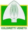 , APINDUSTRIA,CONFINDUSTRIA,CGIL,CISL,UIL,COLDIRETTI, CONFAGRICOLTURA,CONFESERCENTI) Attività 2012 Pianificazione 2013