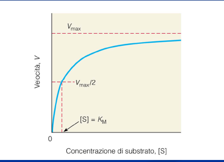 La Vmax indica la saturazione dell enzima a [S] infinita La Km è una costante che dipende dal sistema enzimatico considerato,