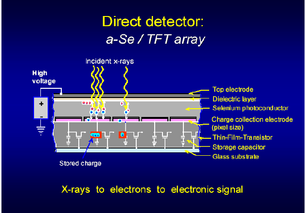 Sotto l influenza di un forte campo elettrico creato tra le superfici esterne, le cariche sono separate e guidate verso gli elettrodi collettori del TFT, dove vengono immagazzinate.