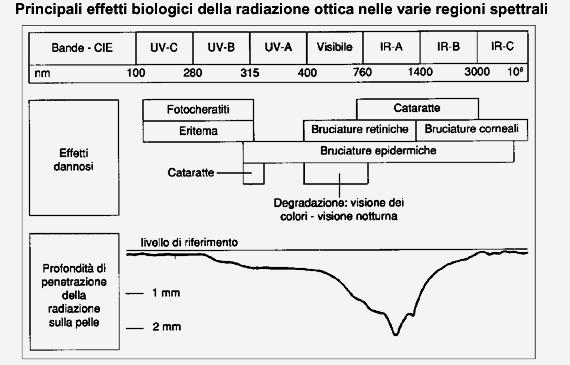 Il razionale dei limiti di esposizione (ICNIRP 1997) Gli occhi e la pelle sono gli organi più suscettibili di un danneggiamento da radiazioni