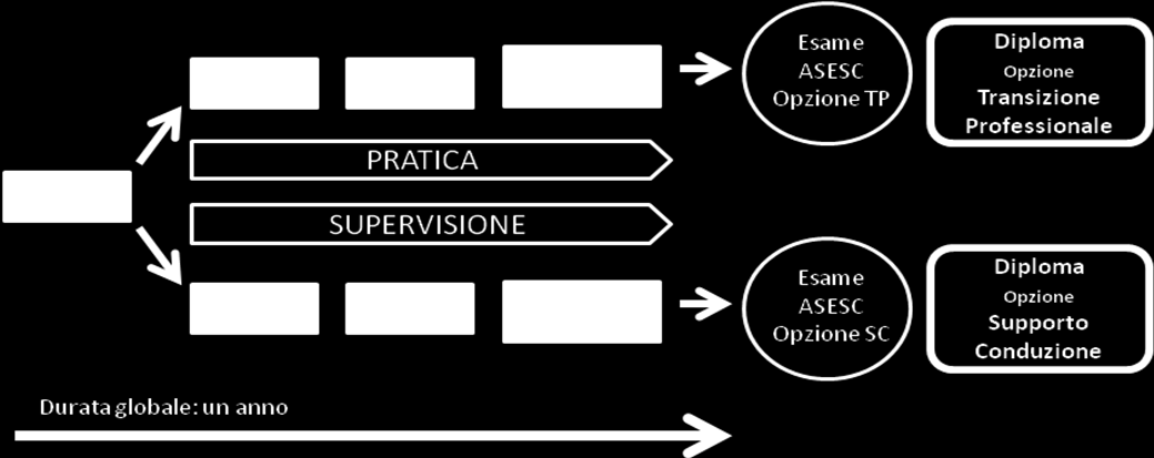 5 Concetto formativo La Figura 1 illustra il concetto formativo adottato nel corso LABOR TRANSFER.