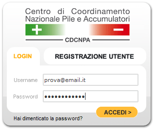 Identificativi del soggetto che si sta registrando (Cognome, Nome, Codice Fiscale); Indirizzo email di riferimento; Password da utilizzarsi per i successivi accessi al portale.