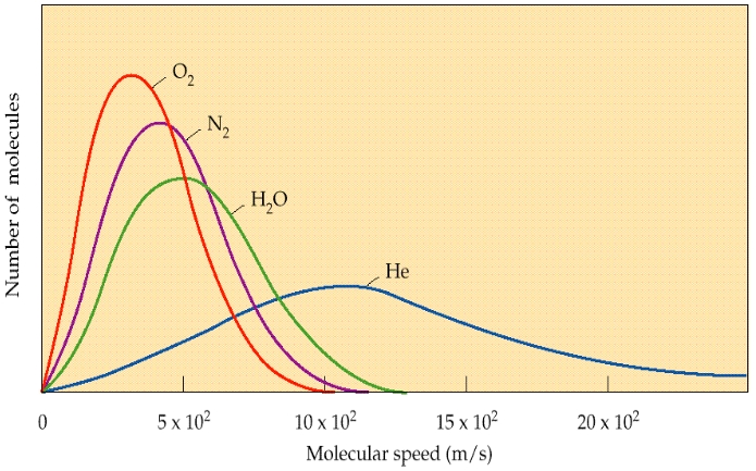 Distribuzione delle velocita' molecolari (4) Molecole di O 2 a due diverse temperature Dipendenza dalla temperatura e dalla massa