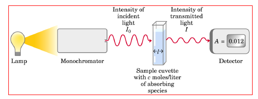 SPETTRO di ASSORBIMENTO Lo spettro è un grafico dell intensità dell assorbimento di una radiazione elettromagnetica in funzione della sua lunghezza d onda.