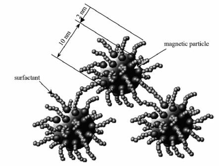 5 CONTENUTI TEORICI Il ferrofluido è composto da particelle di un elemento ferromagnetico disperse in un fluido, nel nostro caso olio.