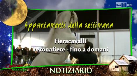 RAI1 LINEA VERDE ORIZZONTI Emittente: Rai 1 Trasmissione: Linea Verde Orizzonti del 8 novembre 2014 ore 10.