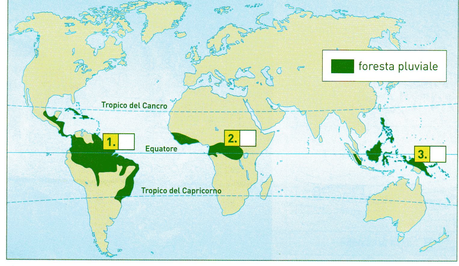 GLI AMBIENTI DELLA FASCIA TROPICALE Le foreste pluviali o equatoriali