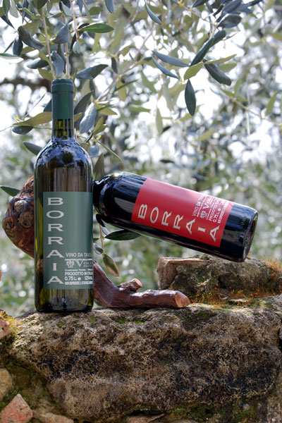 Rossi Red Wine BORRAIA ROSSO Uvaggio: Sangiovese, Canaiolo. Colore: Rosso rubino, limpido. Caratteristiche: Vino dal profumo vinoso e fresco con prevalenti note di frutta a bacca rossa.