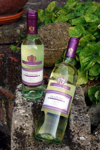 TRILLO DI BACCO VERMENTINO Bianchi White Wine Colore: Giallo paglierino con unghia verdognola, cristallino.