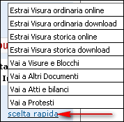 Figura 8 - scelta rapida Cliccando il bottone viene attivata la funzione di monitoraggio che permette di essere tempestivamente informati di ogni variazione presso l R.I.