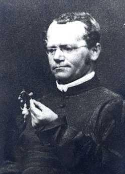 La Genetica Il monaco Gregor Mendel (1822-1884) fu il primo a studiare in