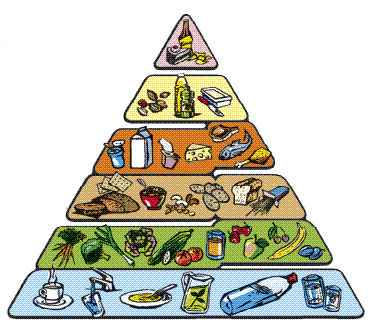 Dieta più famosa ampiamente utilizzata poiché perfettamente equilibrata in grado di fornire il