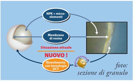 La differenza rispetto ad Osmocote Exact consiste nel fatto che una percentuale di Hi.End viene trattata con tecnologia DCT, per cui una fase del processo di rilascio (concimazione) risulta ritardata.