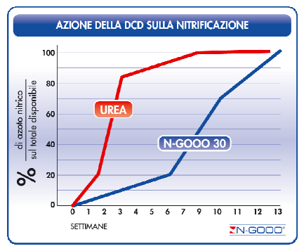 Emanuela Ramaccini Adriatica S.p.A. - Strada Dogado 300/19-21 - Loreo (RO) Email: info@k-fert.it - goldgreen@k-fert.