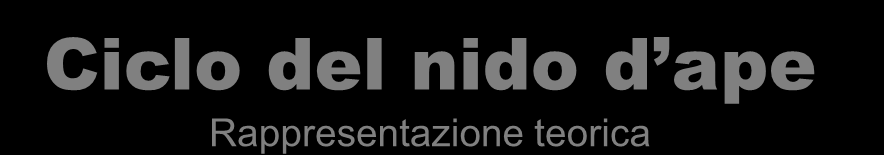 Prezzi Ciclo del nido d ape Rappresentazione teorica Fonte: ricerca