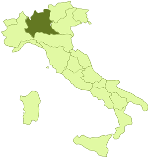 Regione Lombardia Le DIMENSIONI del Sistema Sanitario Regionale dati anno 2009 29 Aziende Ospedaliere 15 Aziende Sanitarie Locali 4 Fondazioni Ospedaliere (ex IRCCS) Posti Letto: ordinari 23.213 DH 3.