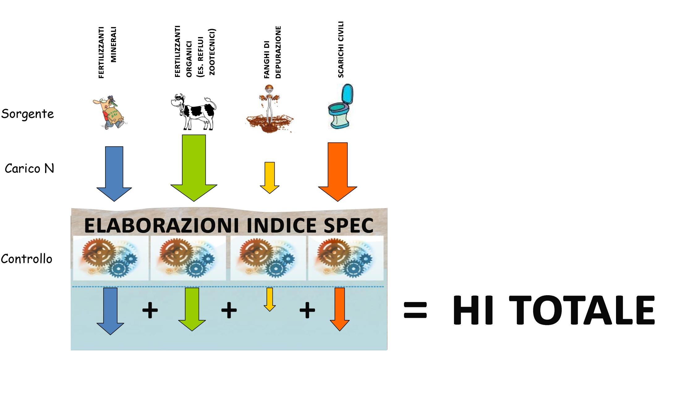 MODELLO CONCETTUALE Punteggio per il carico di azoto N kg/ha Cs 0< N kg/ha<10 0 10=<N kg/ha<30 0,5 30=<N kg/ha<60 1 60=<N kg/ha<90 1,5 90=<N kg/ha<120 2 120=<N kg/ha<170 2,5 170=<N kg/ha<220 3 220=<N