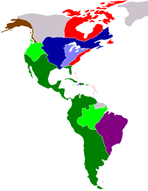 totale traffico dati) 35% (2014) 70% (2020) MERCATO GLOBALE: CONTINUA A CRESCERE PRINCIPALI AREE GEOGRAFICHE