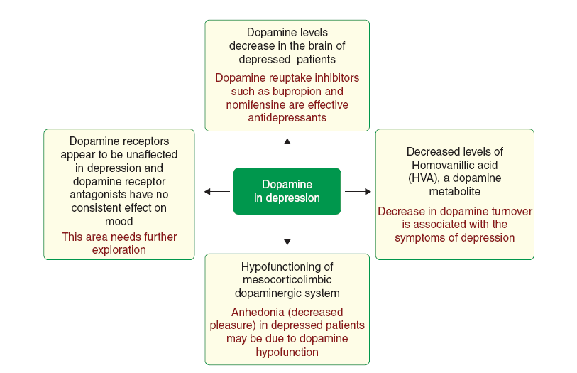 Role of Dopamine in Depression Kulkarni &