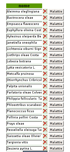 Pagine Amministrazione Monografia Monografia