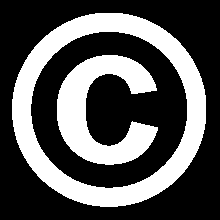 INFORMAZIONI SUL COPYRIGHT Gentile cliente, ti prego di consultare le presenti note sul copyright che copre questo prodotto digitale.