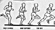 ARTICOLAZIONI NELLA CORSA Caviglia Gestione stiffness Movimento di prono/supinazione Ginocchio Assorbimento stress da contatto Fase di volo Anca Gestione della rullata Rachide