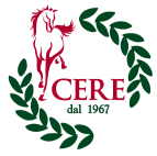 CLUB HOUSE REGOLAMENTO (Disposizioni applicative Art. 27 del Regolamento in vigore dall 11 maggio 2015) NORME GENERALI E obbligatoria la frequentazione in abiti consoni al decoro dell ambiente.