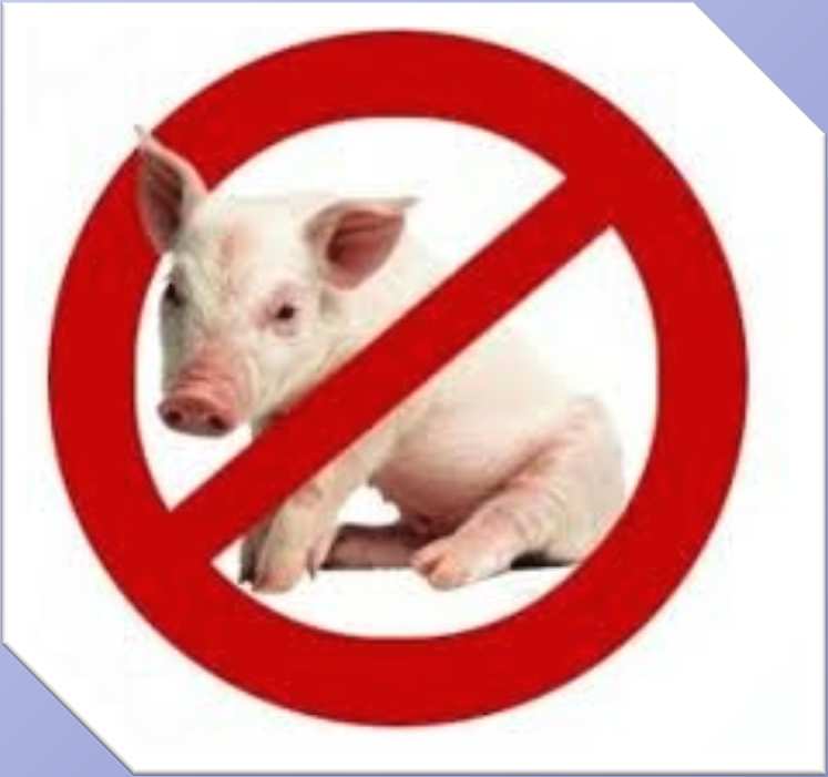 Gli animali di cui è vietata la carne sono tutti i pesci senza scaglie, vietatissimo il maiale, le bestie feroci, i rapaci, i cani, gli asini