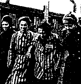 donne prigioniere nel campo di concentramento di Auschwitz liberate dai russi nel 1945 Tutte le persone iniziano a ricostruire i loro Paesi.