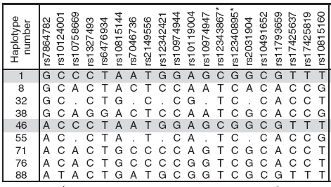 PREDISPOSIZIONE GENETICA ALLO SVILUPPO DI NEOPLASIE MIELOPROLFERATIVE CRONICHE Ph-NEGATIVE: L APLOTIPO 46/1 La mutazione V617F del gene JAK2 si riscontra nel 95% dei soggetti affetti da PV e circa