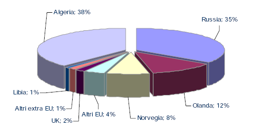 Fonti primarie utilizzate per la produzione di energia Gas