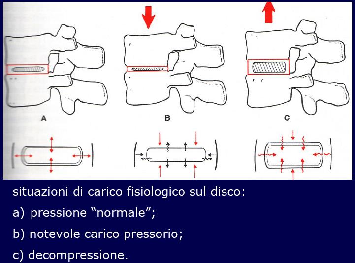 Effetti del carico sul disco