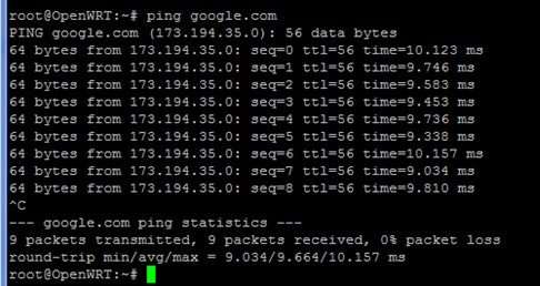 14. Fai un ping a Google per verificare che le impostazioni del firewall siano corrette: Digitare : ping google.