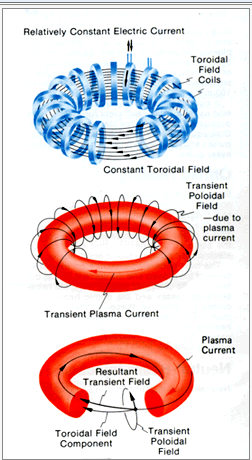b - Confinamento Magnetico nel Tokamak B t B p Campo magnetico principale o toroidale B t