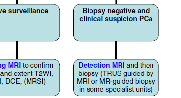 RM MULTIPARAMETRICA ACCURATEZZA NELLA IDENTIFICAZIONE DI LESIONE CLINICAMENTE SIGNIFICATIVA IDENTIFICAZIONE