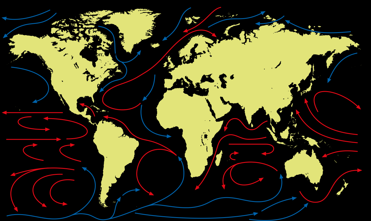 Le correnti marine La corrente del Golfo è una corrente calda che si forma nel Golfo del Messico, attraversa