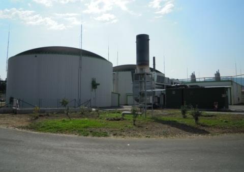 La filiera biogas nel comparto agro-zootecnico Allevamenti zootecnici Reflui zootecnici Colture dedicate