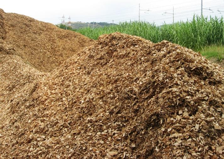 Tipologie di biomasse solide per usi energetici Materiale vegetale prodotto da coltivazioni dedicate Materiale vegetale proveniente dal trattamento esclusivamente meccanico di coltivazioni agricole