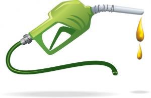 Perché i biocarburanti?