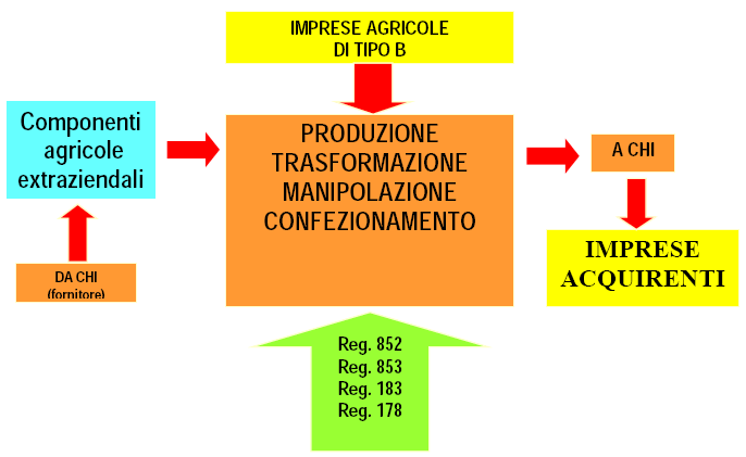 Obblighi per l impresa che