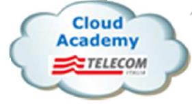 The Cloud Momentum A new way of buying and selling software services Agility and competence Business centered IT