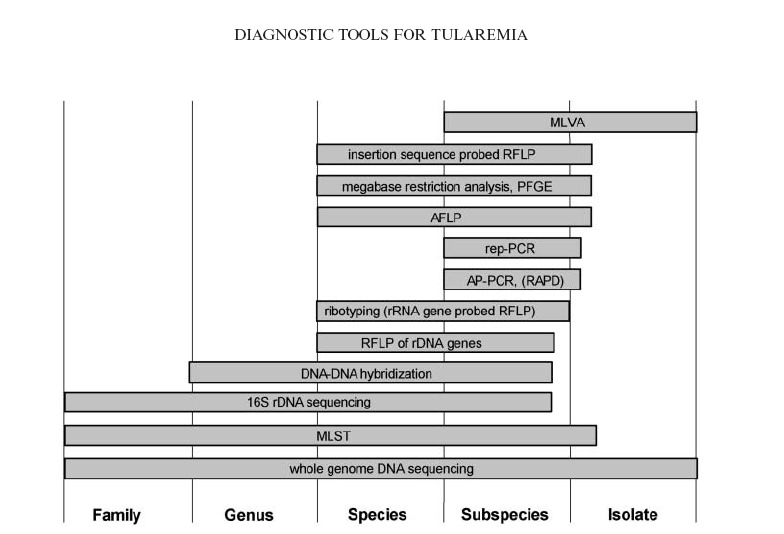 Sub-tipizzare Francisella tularensis M Keim et al. 2007Ann. N.Y. Acad. Sci.