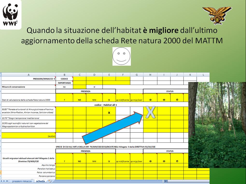 miglioramento per l habitat 910E foreste alluvionali nel sic Le Bine (Mn,CR), quindi va messa una