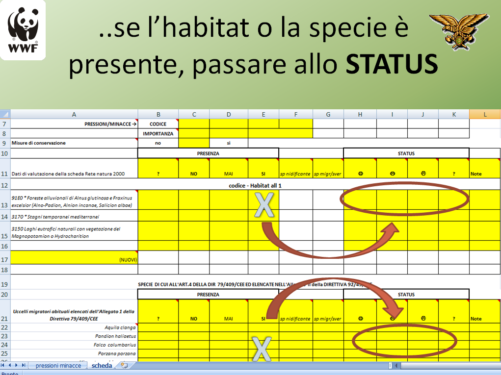 Figura 6.